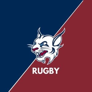 Team Page: Men's Rugby
